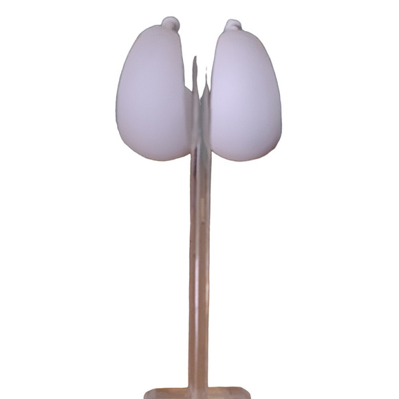 Colored Hoops Big Earrings Powder Coated Long Wear Attached Back HYPOALLERGENIC - Picture 6 of 8